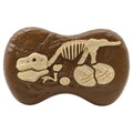 RC Dinosaurus s Realistickými Zvukovými Efektmi