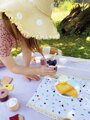 Small Foot Piknikový Kôš Tasty