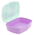 Stor Plastový box na desiatu DISNEY FROZEN