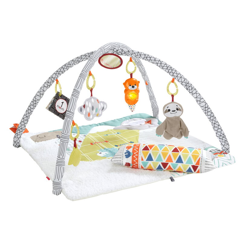 Fisher Price Perfect Sense Deluxe Hracia Deka S Hrazdičkou Fisher Price Perfect Sense Deluxe Hracia Deka S Hrazdičkou