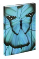 BAAGL SET 5 Ergo Butterfly: aktovka, penál, sáček, desky, box