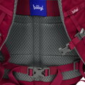 BAAGL Batoh Dash Burgundy GRS