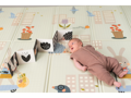 Taf Toys Hracia deka penová Záhrada