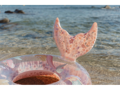 Little Dutch Nafukovací kruh 91 cm Dreamy Mermaid