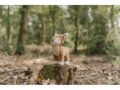 Little Dutch Srnka plyšová Fairy Garden