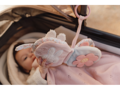 Little Dutch Závesná textilná knižka králiček Miffy Lucky Blossom