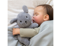 Little Dutch Pejsek Snuffie Fluffy Blue 25 cm