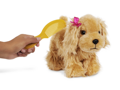 Pucci Pups Psík hnedý v taške Pink Crown Glam Bag